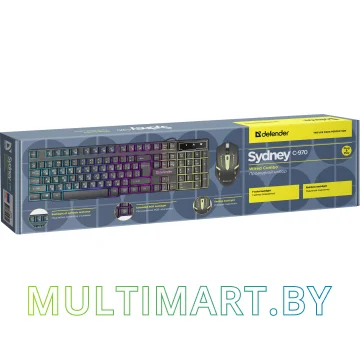 Комплект клавиатура + мышь Defender Sydney C-970 RU картинка 2